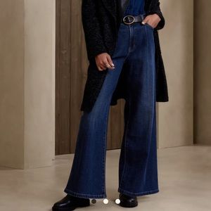 Banana Republic Pleated Wide-Leg Jean